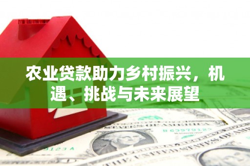 勐海农业贷款助力乡村振兴，机遇、挑战与未来展望