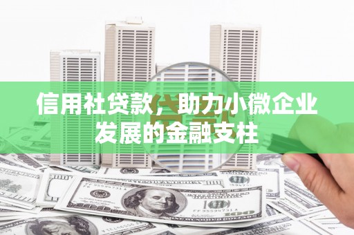 勐海信用社贷款，助力小微企业发展的金融支柱