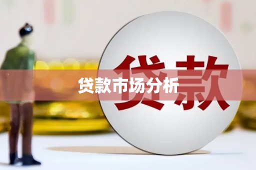 勐海贷款市场分析
