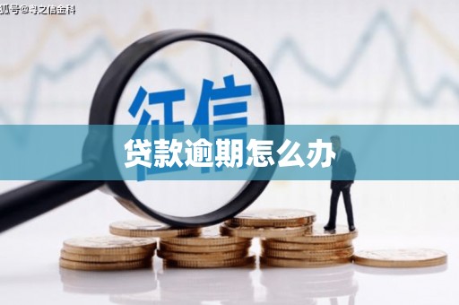 勐海贷款逾期怎么办