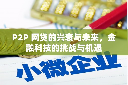 勐海P2P 网贷的兴衰与未来，金融科技的挑战与机遇