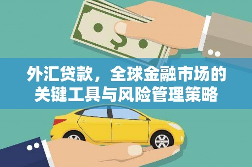 勐海外汇贷款，全球金融市场的关键工具与风险管理策略