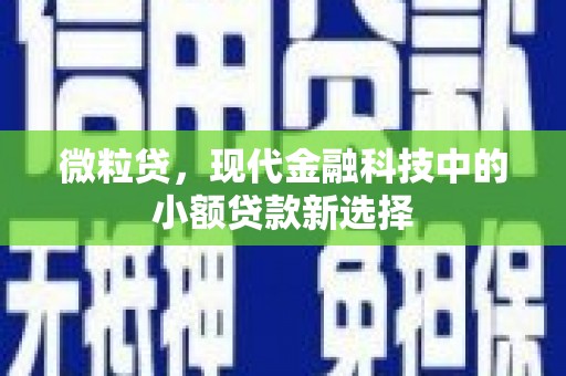 勐海微粒贷，现代金融科技中的小额贷款新选择