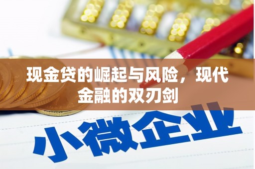 勐海现金贷的崛起与风险，现代金融的双刃剑