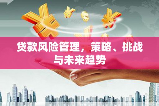 勐海贷款风险管理，策略、挑战与未来趋势