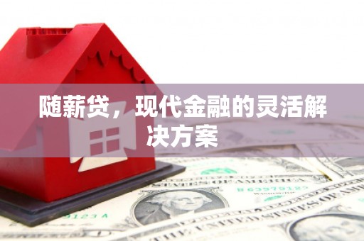 勐海随薪贷，现代金融的灵活解决方案