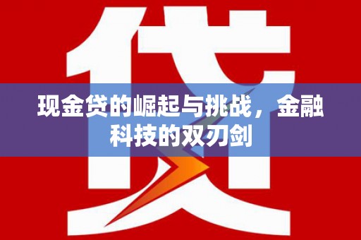 勐海现金贷的崛起与挑战，金融科技的双刃剑