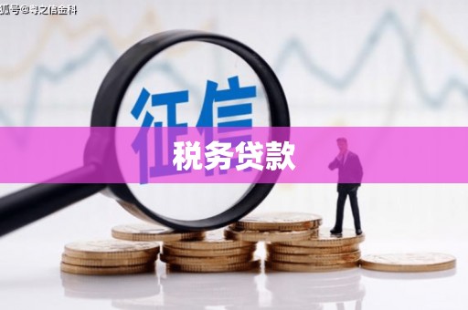 勐海税务贷款