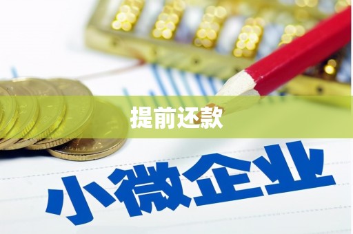 勐海提前还款