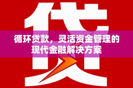 勐海循环贷款，灵活资金管理的现代金融解决方案