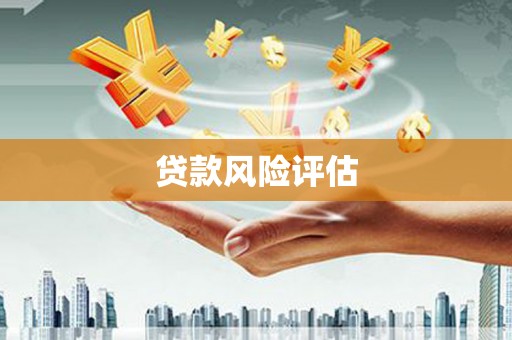 勐海贷款风险评估