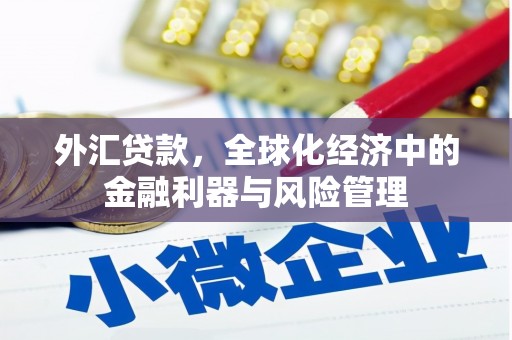 勐海外汇贷款，全球化经济中的金融利器与风险管理