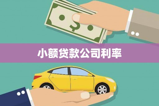 勐海小额贷款公司利率