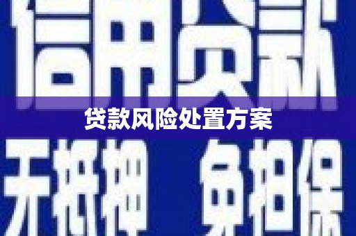 勐海贷款风险处置方案