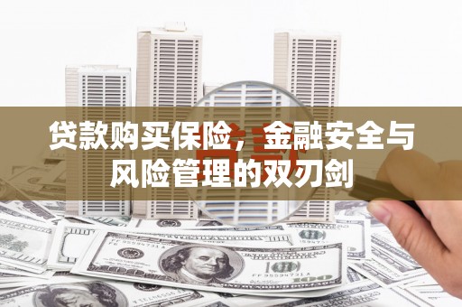 勐海贷款购买保险，金融安全与风险管理的双刃剑