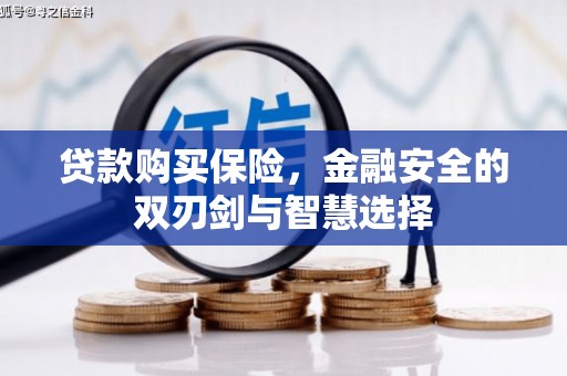 勐海贷款购买保险，金融安全的双刃剑与智慧选择