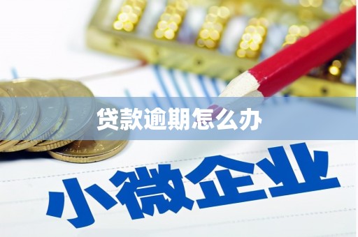勐海贷款逾期怎么办