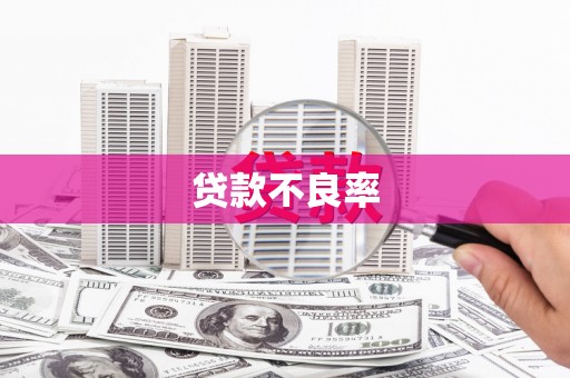 勐海贷款不良率