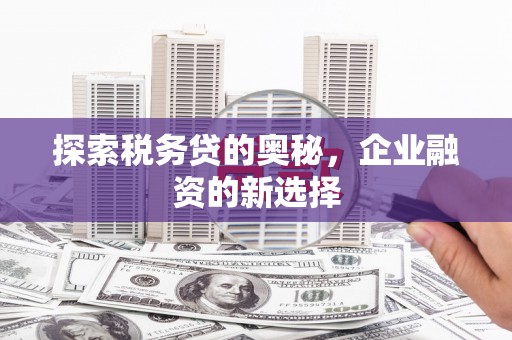 勐海探索税务贷的奥秘，企业融资的新选择
