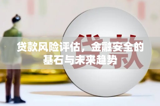 勐海贷款风险评估，金融安全的基石与未来趋势