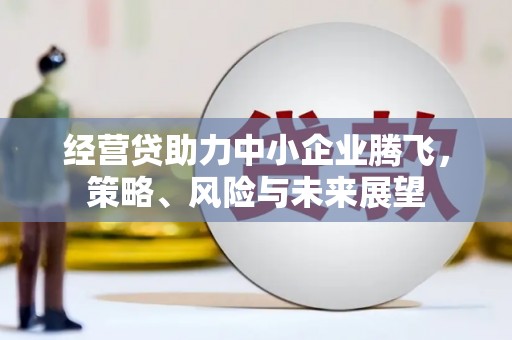 勐海经营贷助力中小企业腾飞，策略、风险与未来展望
