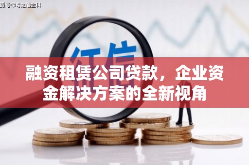 勐海融资租赁公司贷款，企业资金解决方案的全新视角