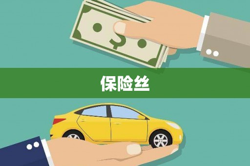 勐海保险丝