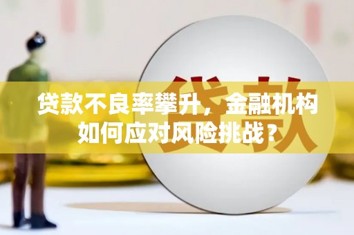 勐海贷款不良率攀升，金融机构如何应对风险挑战？