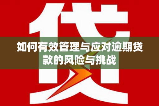 勐海如何有效管理与应对逾期贷款的风险与挑战