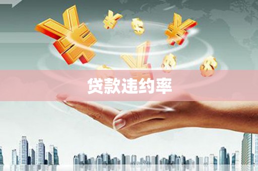 勐海贷款违约率