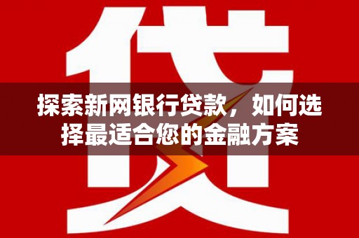 勐海探索新网银行贷款，如何选择最适合您的金融方案