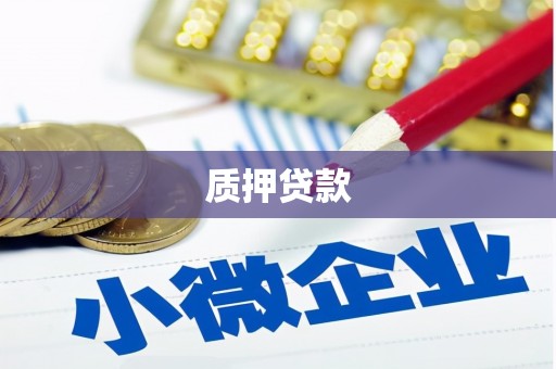勐海质押贷款