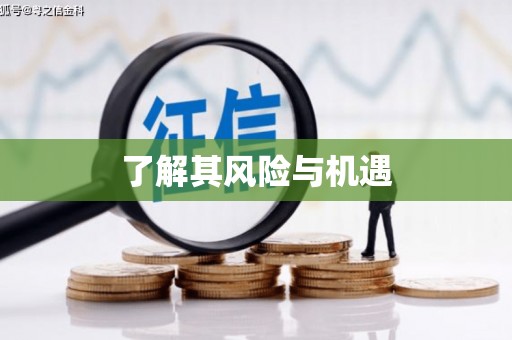 勐海了解其风险与机遇