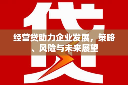 勐海经营贷助力企业发展，策略、风险与未来展望