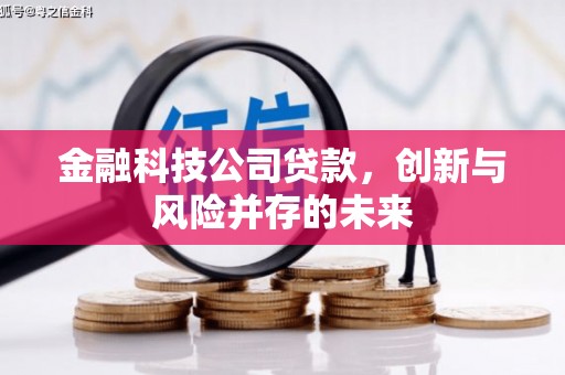勐海金融科技公司贷款，创新与风险并存的未来