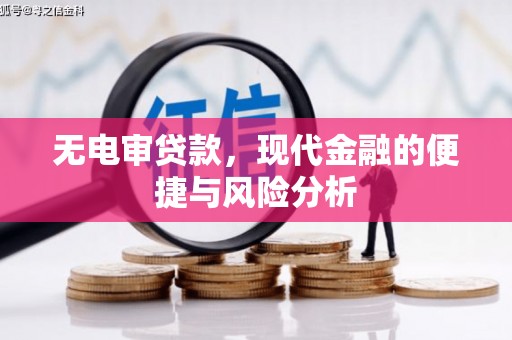 勐海无电审贷款，现代金融的便捷与风险分析
