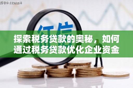勐海探索税务贷款的奥秘，如何通过税务贷款优化企业资金流