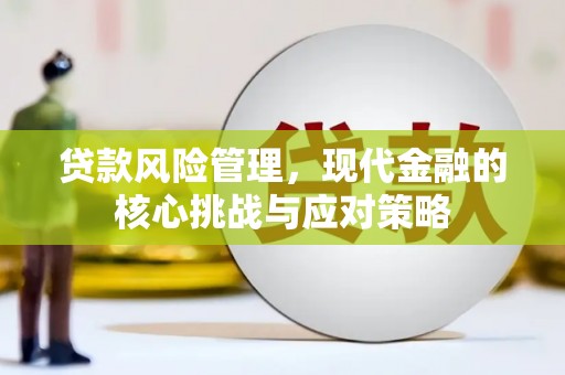 勐海贷款风险管理，现代金融的核心挑战与应对策略