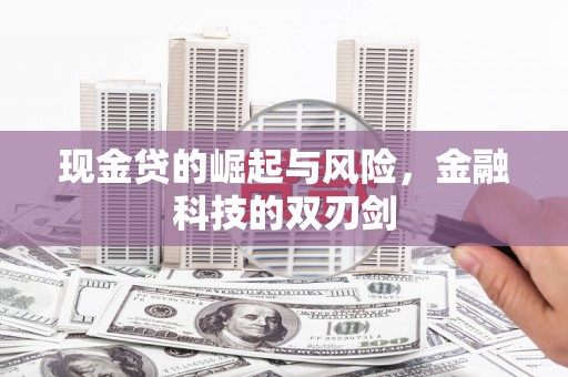 勐海现金贷的崛起与风险，金融科技的双刃剑