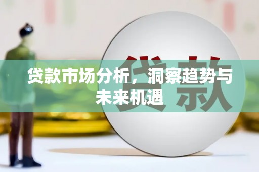 勐海贷款市场分析，洞察趋势与未来机遇
