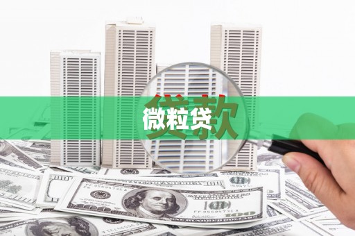 勐海微粒贷