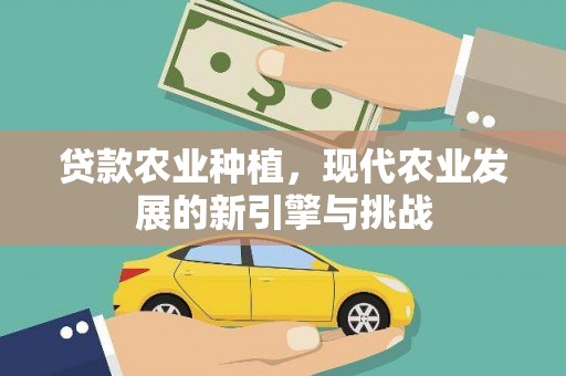 勐海贷款农业种植，现代农业发展的新引擎与挑战
