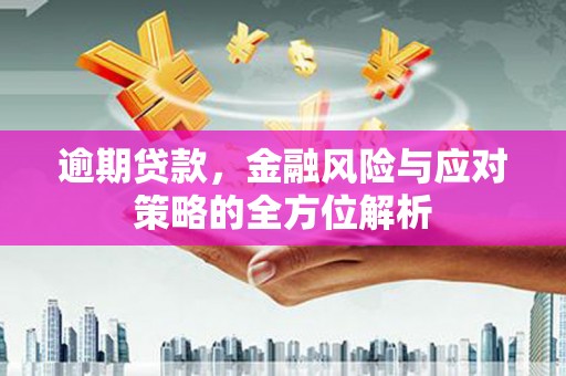 勐海逾期贷款，金融风险与应对策略的全方位解析