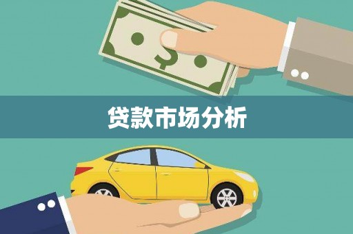 勐海贷款市场分析