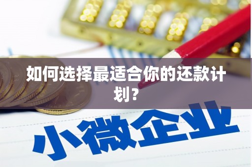 勐海如何选择最适合你的还款计划？