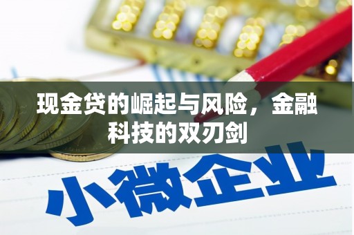 勐海现金贷的崛起与风险，金融科技的双刃剑