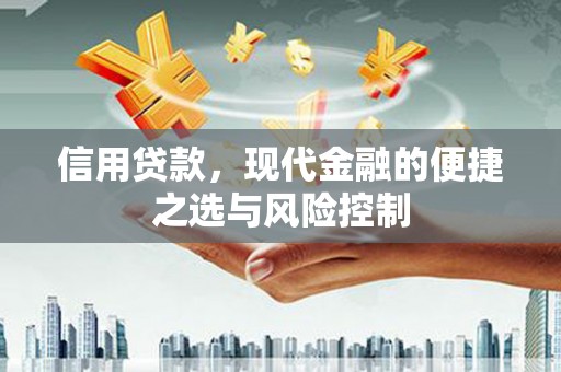 勐海信用贷款，现代金融的便捷之选与风险控制