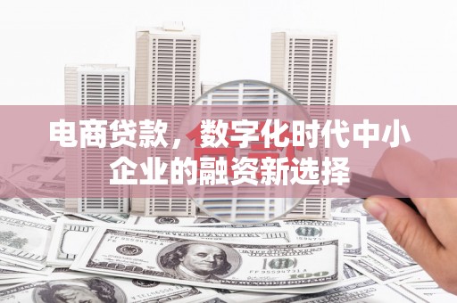 勐海电商贷款，数字化时代中小企业的融资新选择