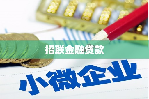 勐海招联金融贷款