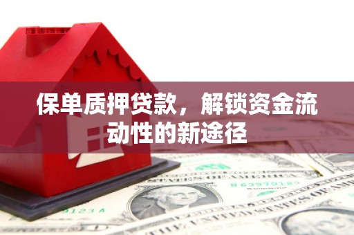 勐海保单质押贷款，解锁资金流动性的新途径